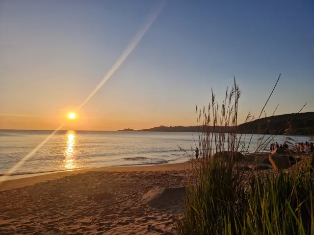 Coucher du soleil sur une plage avec une colline en arrière-plan et de la végétation au premier-plan