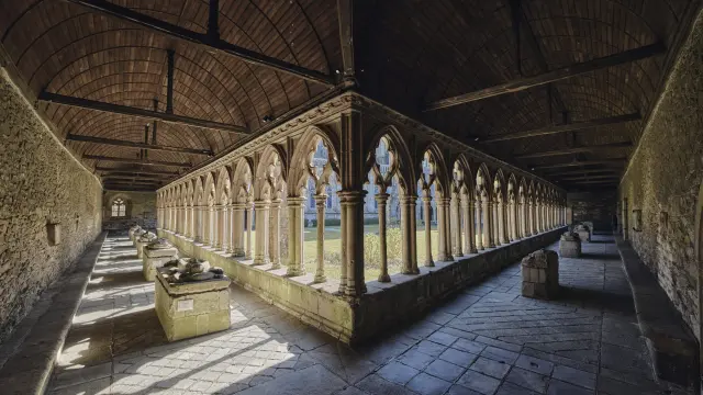 Exhibition room with marble ancient statues lit by spotlights